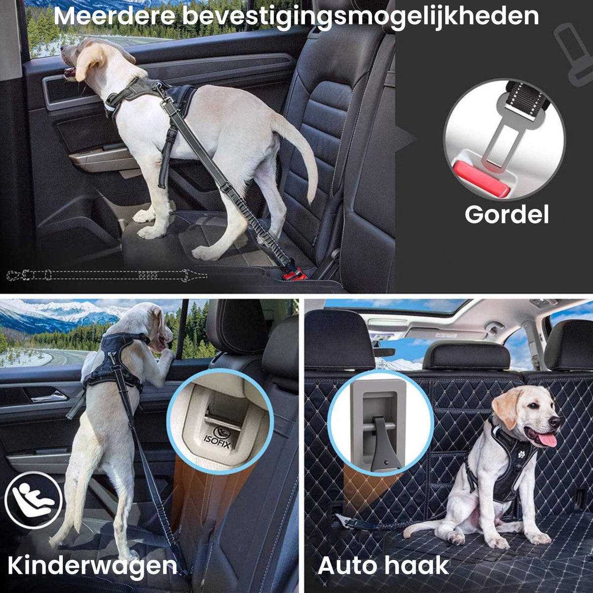 Hondenauto Gordel - Schokabsorberend & Verstelbaar