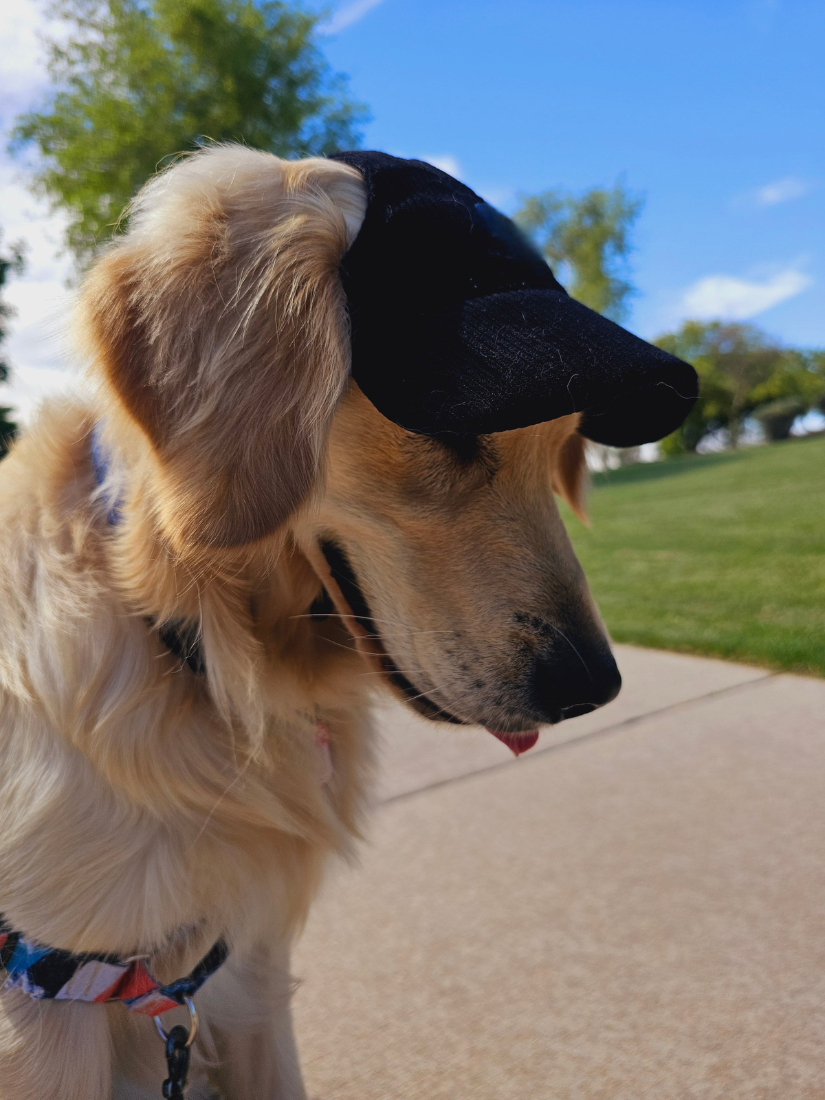 PawCap™ - Ultra Schattig Honden Petje