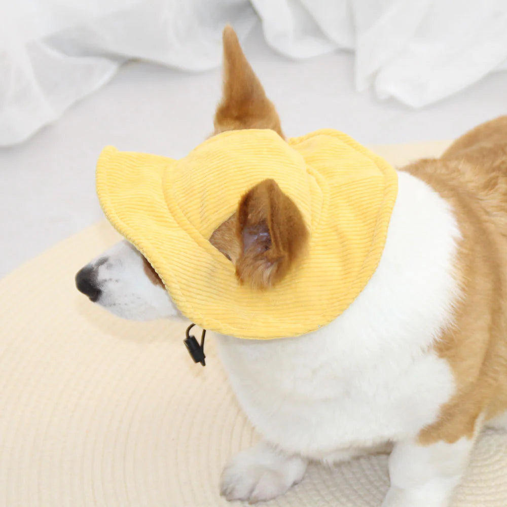 PawCap™ - Ultra Schattig Honden Petje
