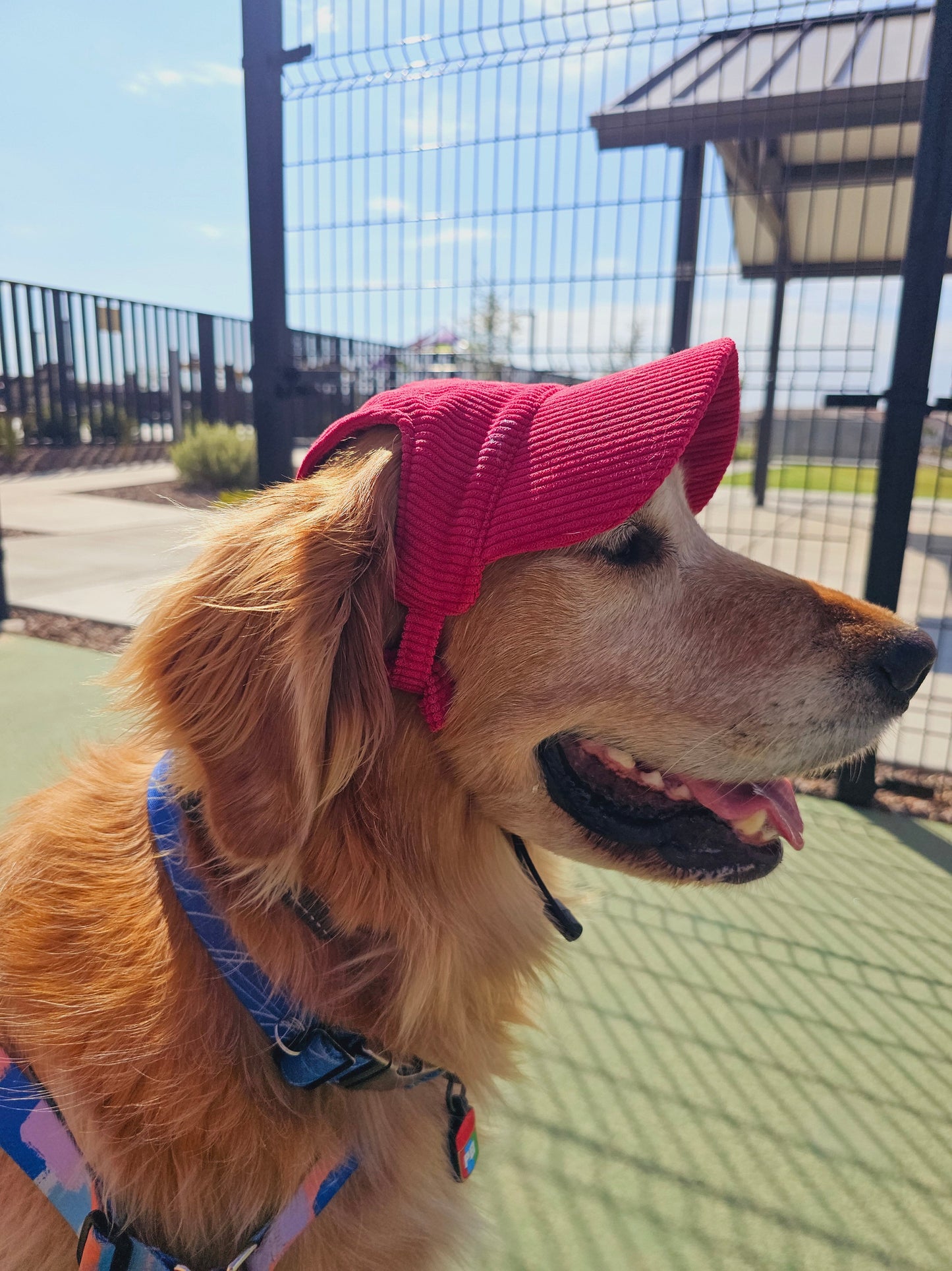 PawCap™ - Ultra Schattig Honden Petje