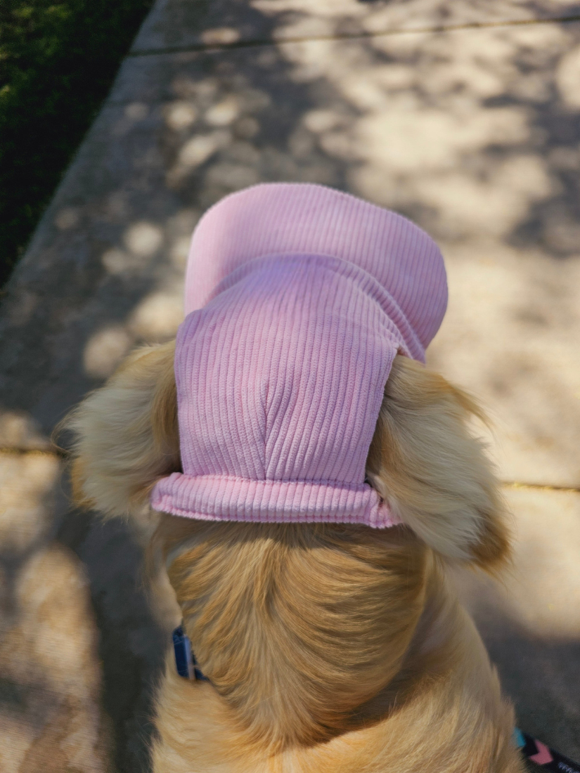 PawCap™ - Ultra Schattig Honden Petje
