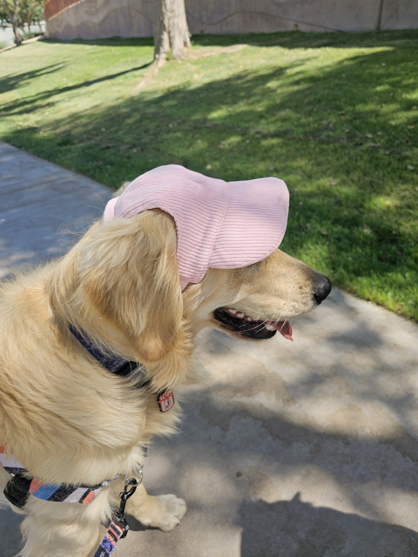 PawCap™ - Ultra Schattig Honden Petje