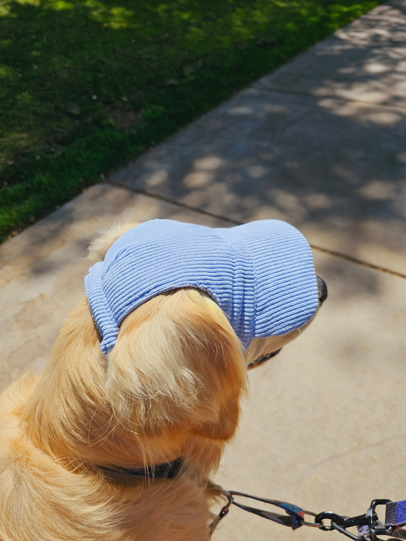 PawCap™ - Ultra Schattig Honden Petje