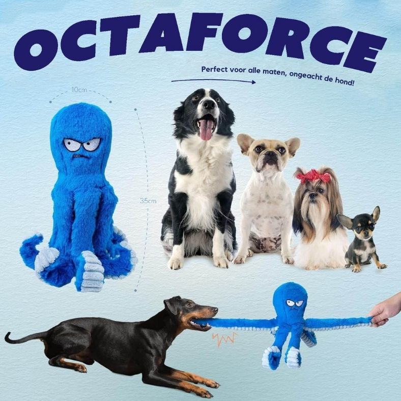 OctaForce™ - Speelgoed voor sterke kauwers