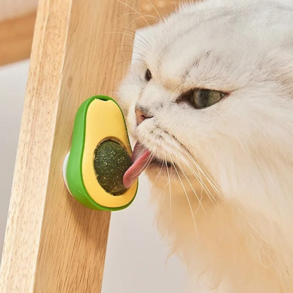 Avocado Kattenkruid Bal