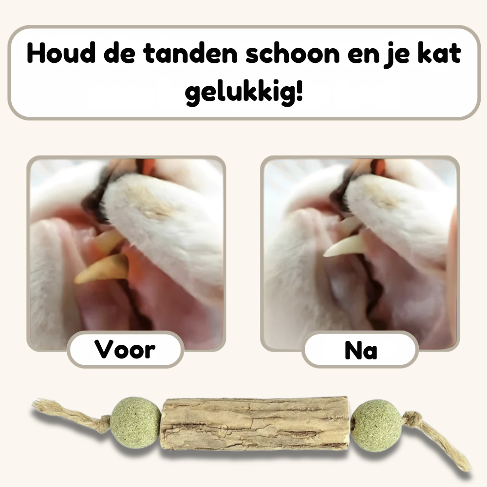 HappyTeeth - Tandenpoets speeltje met kattenkruid (4-pack)