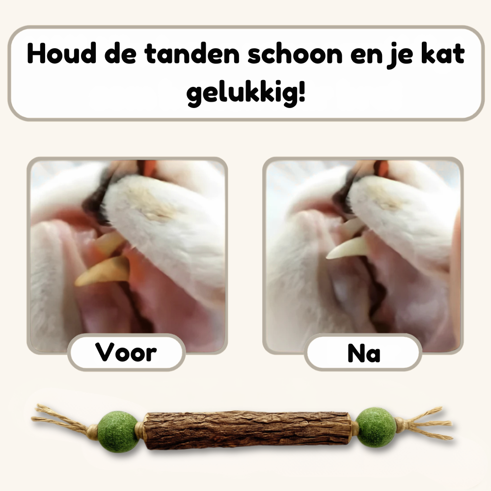 HappyTeeth™ - Tandenpoets speeltje met kattenkruid (4-stuks)