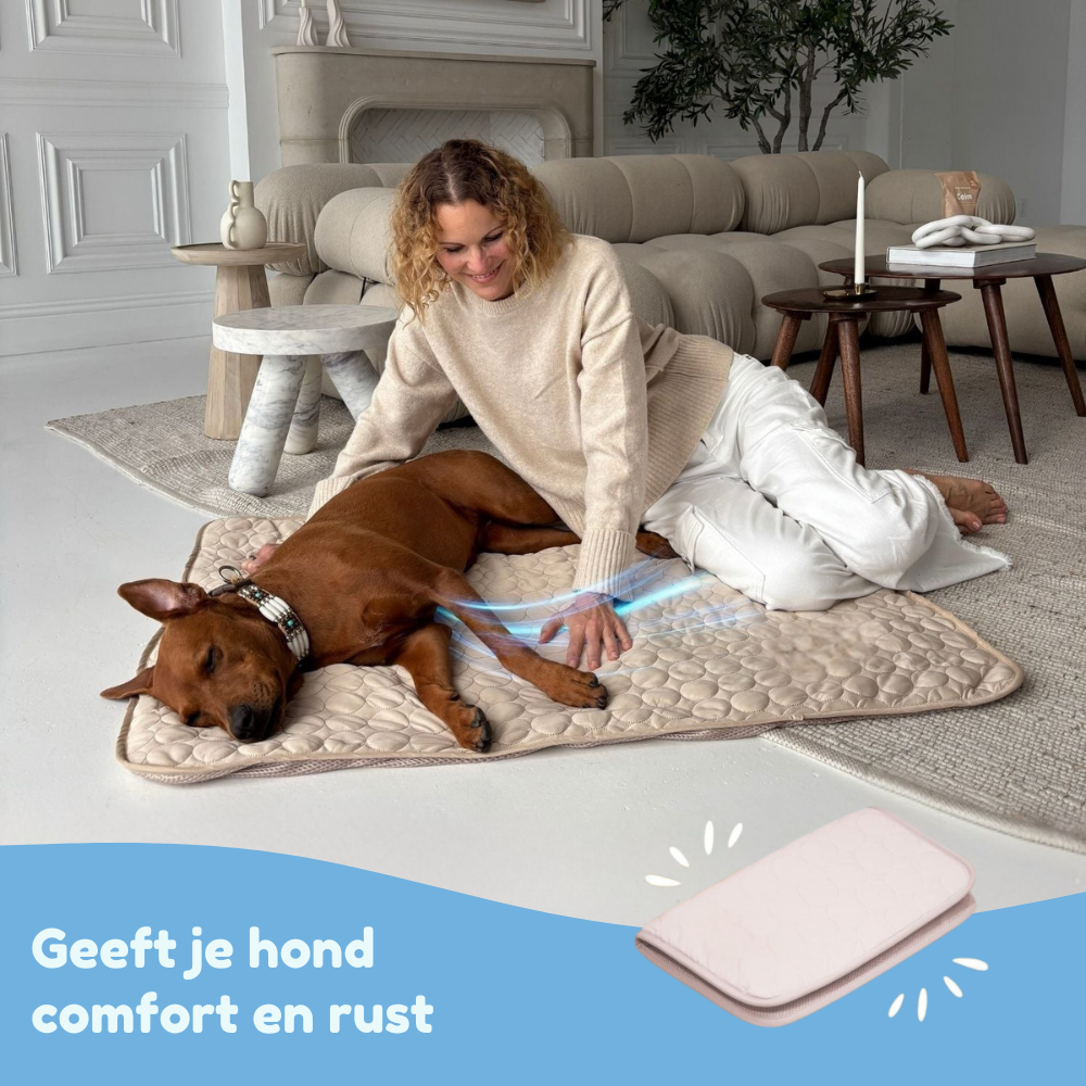 PawChill™ verkoelende hondenmat | 1+1 GRATIS