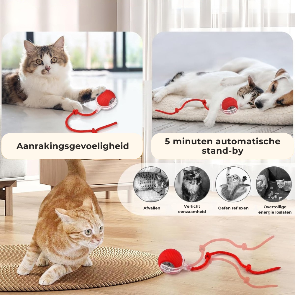 SmartHunt™ – Interactief Speelgoed