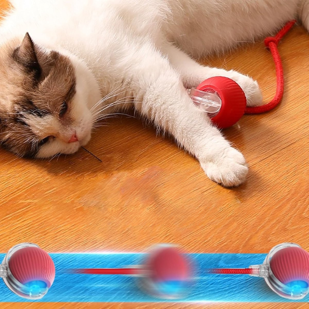 SmartHunt™ – Interactief Speelgoed