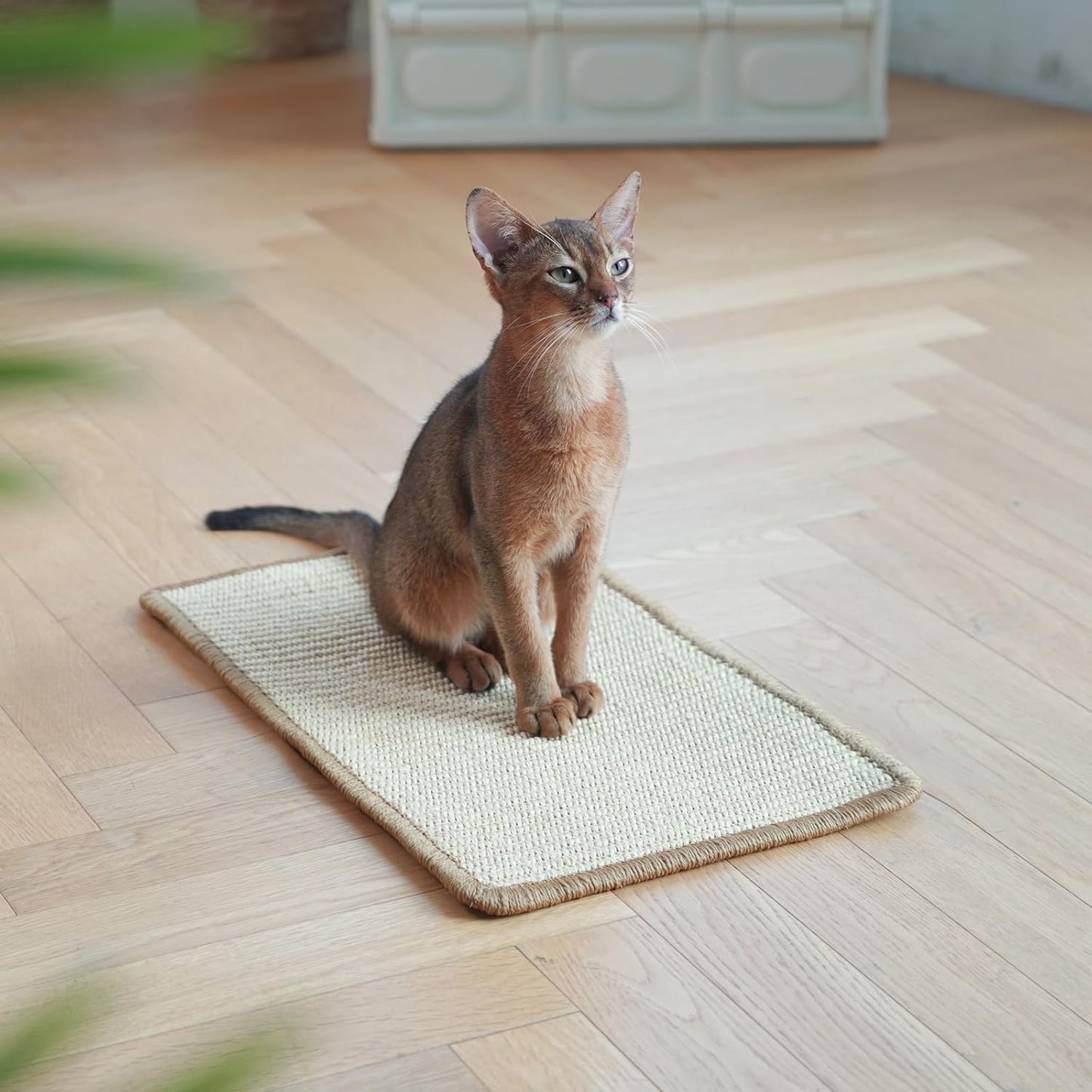 ClawCove - Natuurlijke Krabmat voor Katten