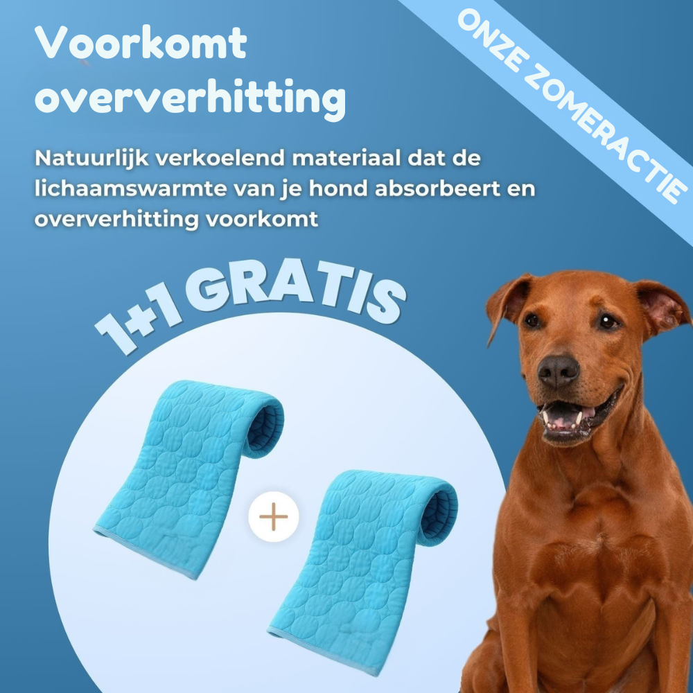 PawChill™ verkoelende hondenmat | 1+1 GRATIS