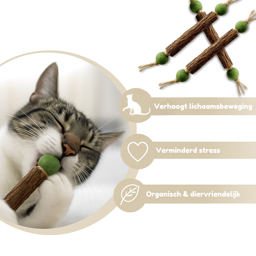 HappyTeeth™ - Tandenpoets speeltje met kattenkruid (4-stuks)
