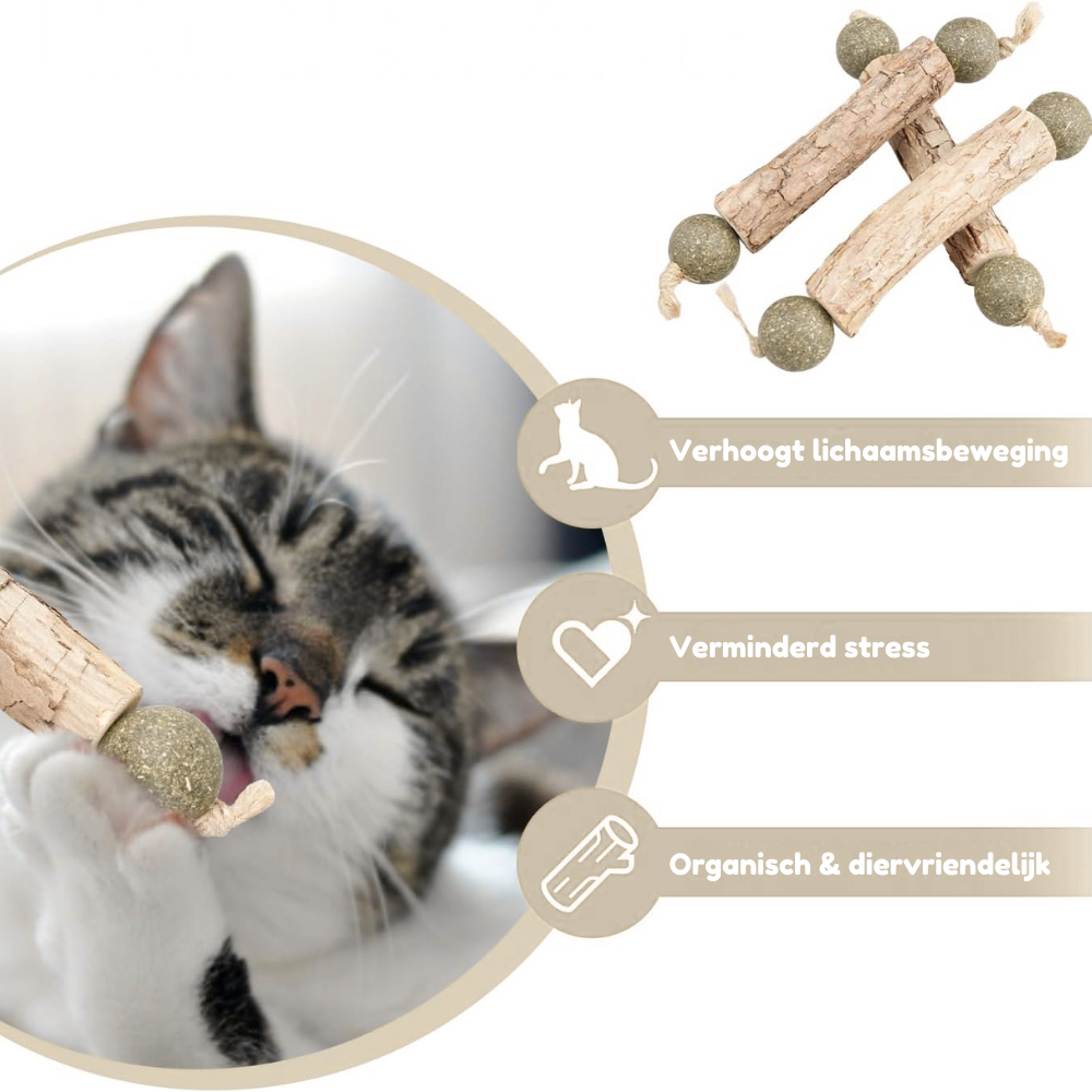 HappyTeeth - Tandenpoets speeltje met kattenkruid (4-pack)