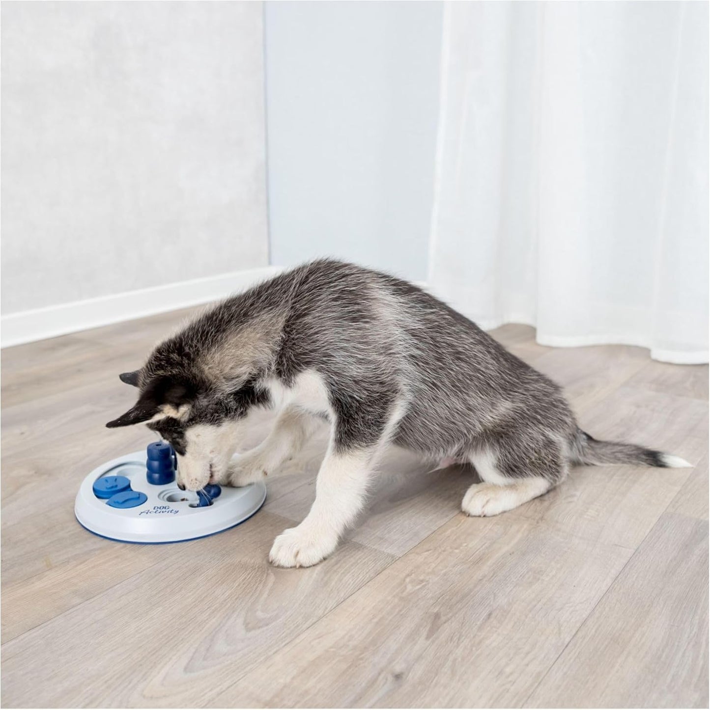 TreatQuest - Interactief Speelplezier voor Honden