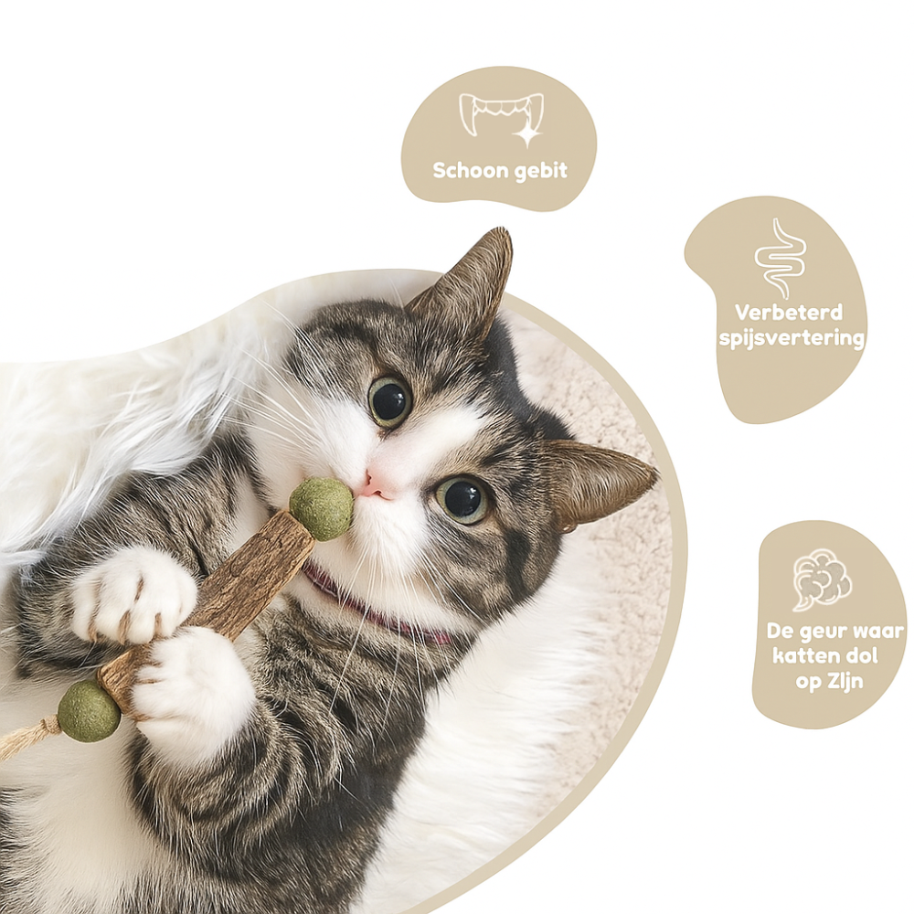 HappyTeeth™ - Tandenpoets speeltje met kattenkruid (4-stuks)