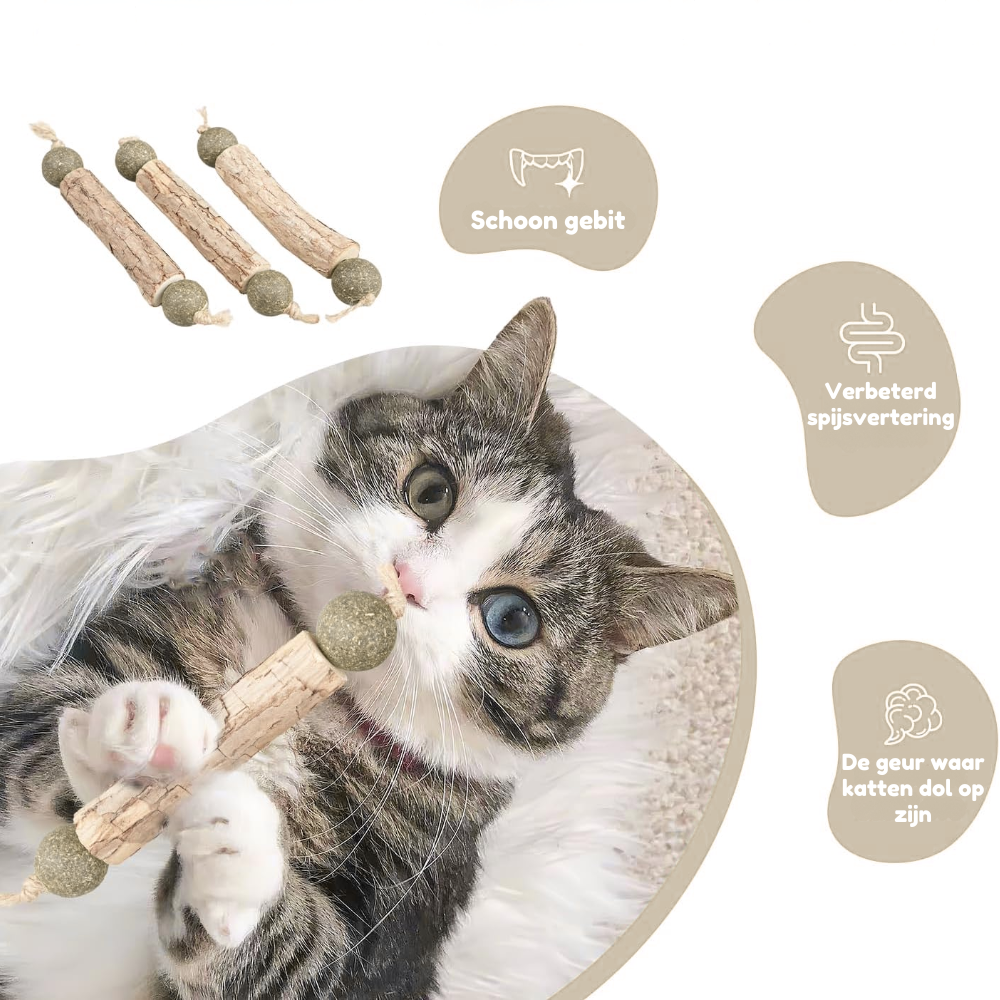 HappyTeeth - Tandenpoets speeltje met kattenkruid (4-pack)
