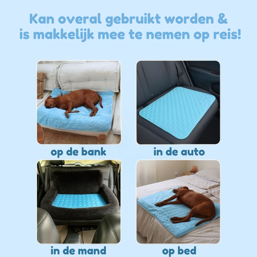PawChill™ verkoelende hondenmat | 1+1 GRATIS