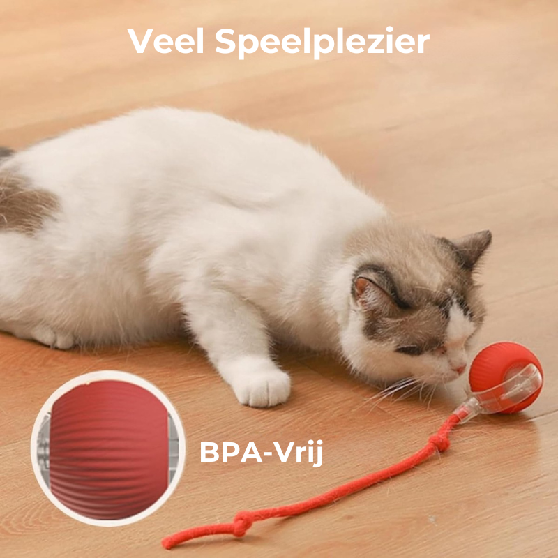 SmartHunt™ – Interactief Speelgoed