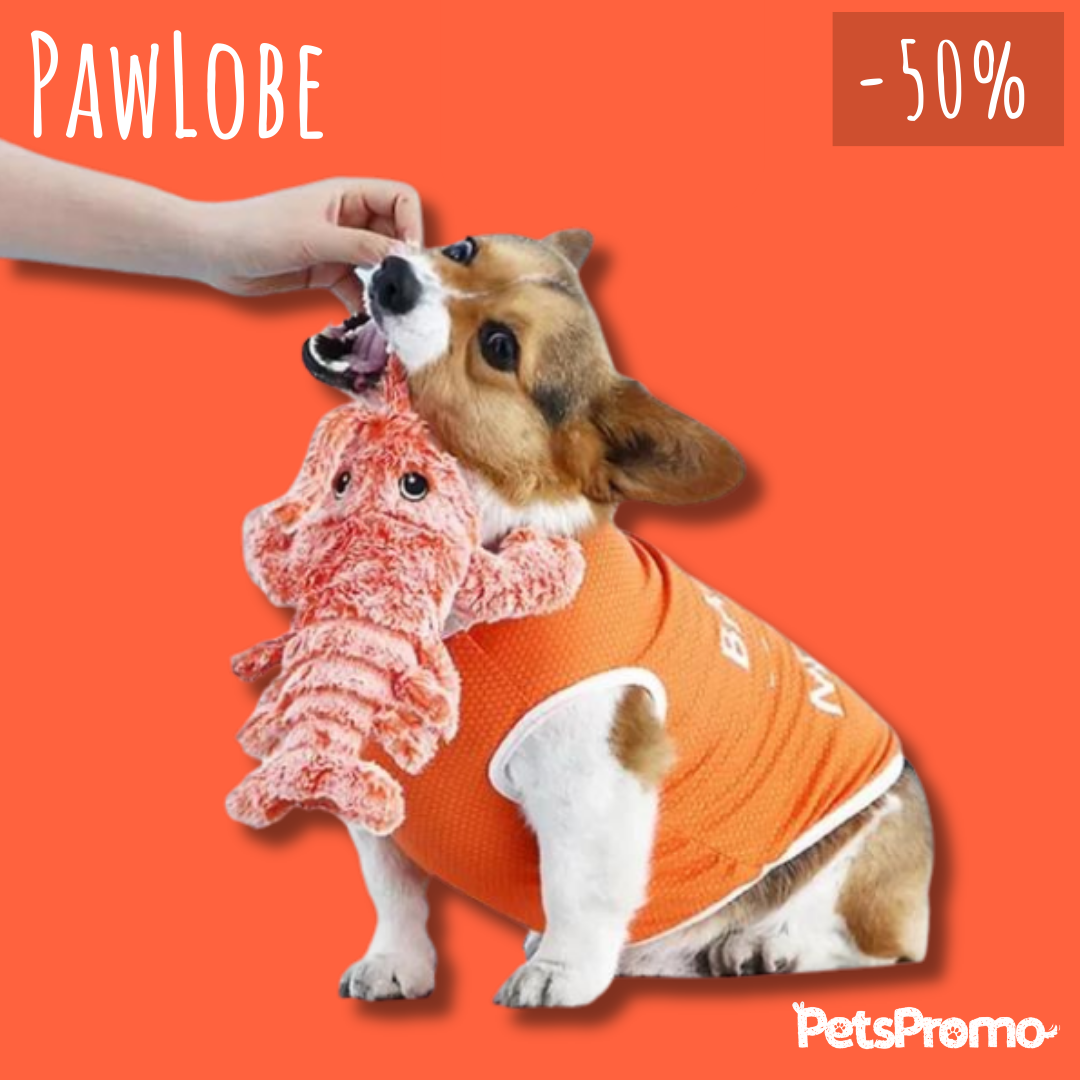 PawLobe - De dansende kreeft