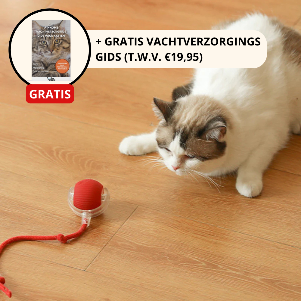 SmartHunt™ – Interactief Speelgoed