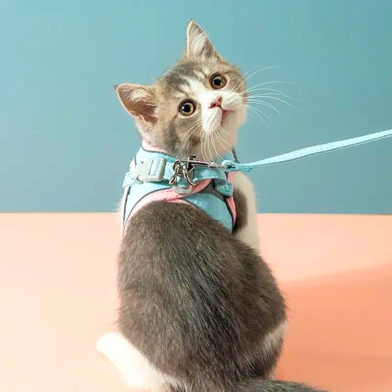 Flufz kattenharnas
