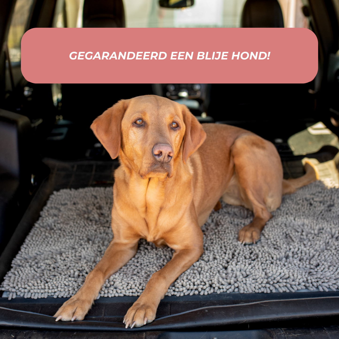 PootStop™ - Houd vuile pootjes bij de deur