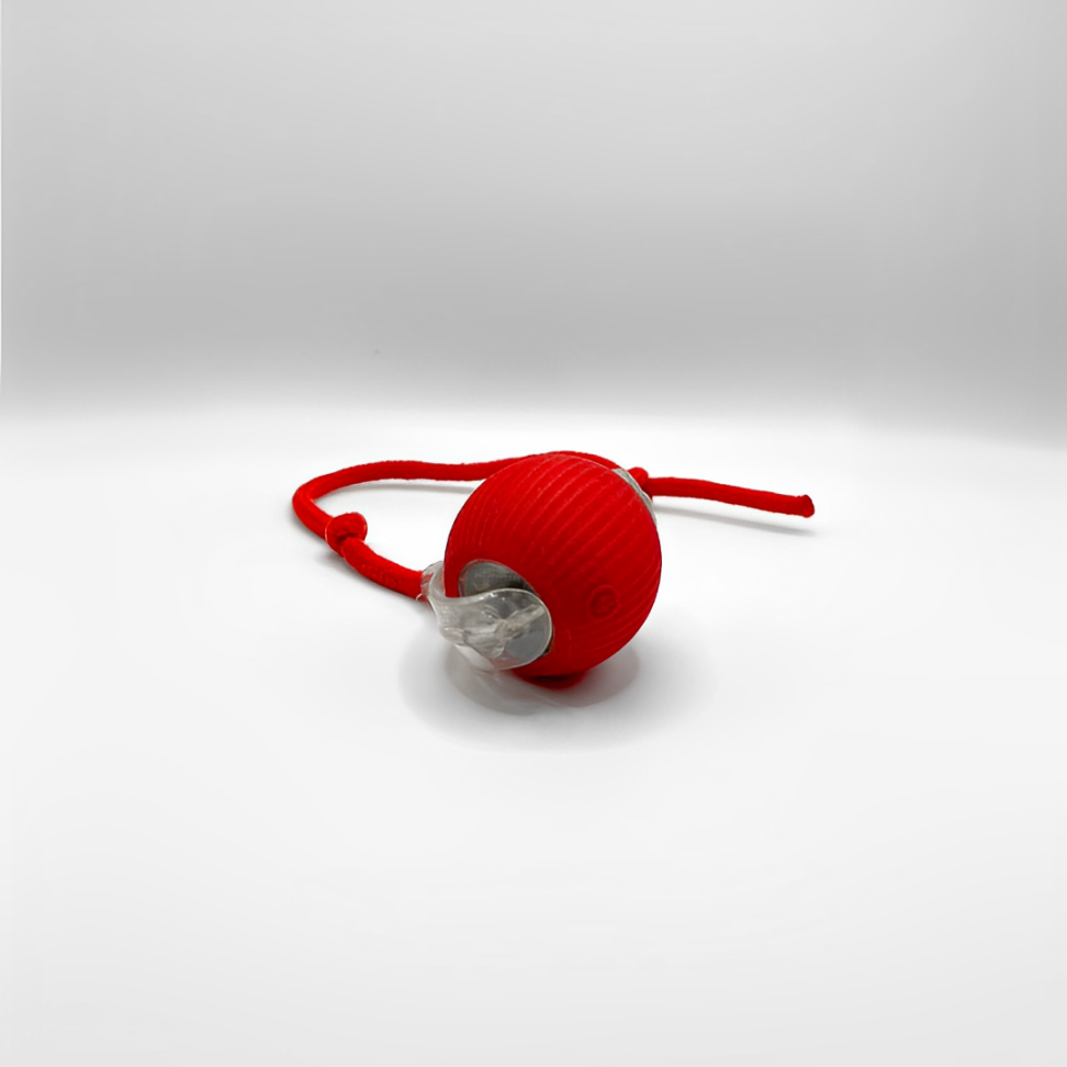 SmartHunt™ – Interactief Speelgoed