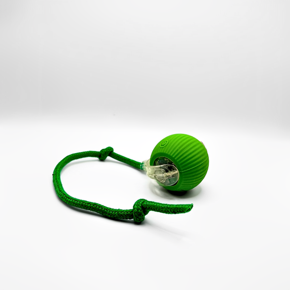 SmartHunt™ – Interactief Speelgoed
