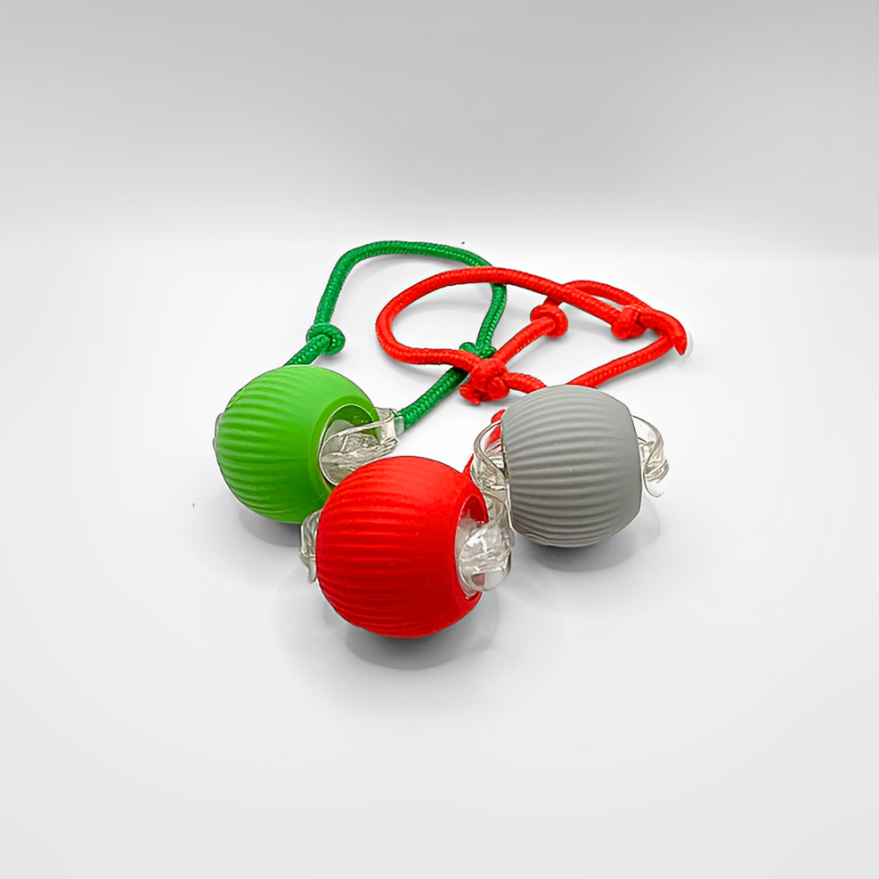 SmartHunt™ – Interactief Speelgoed