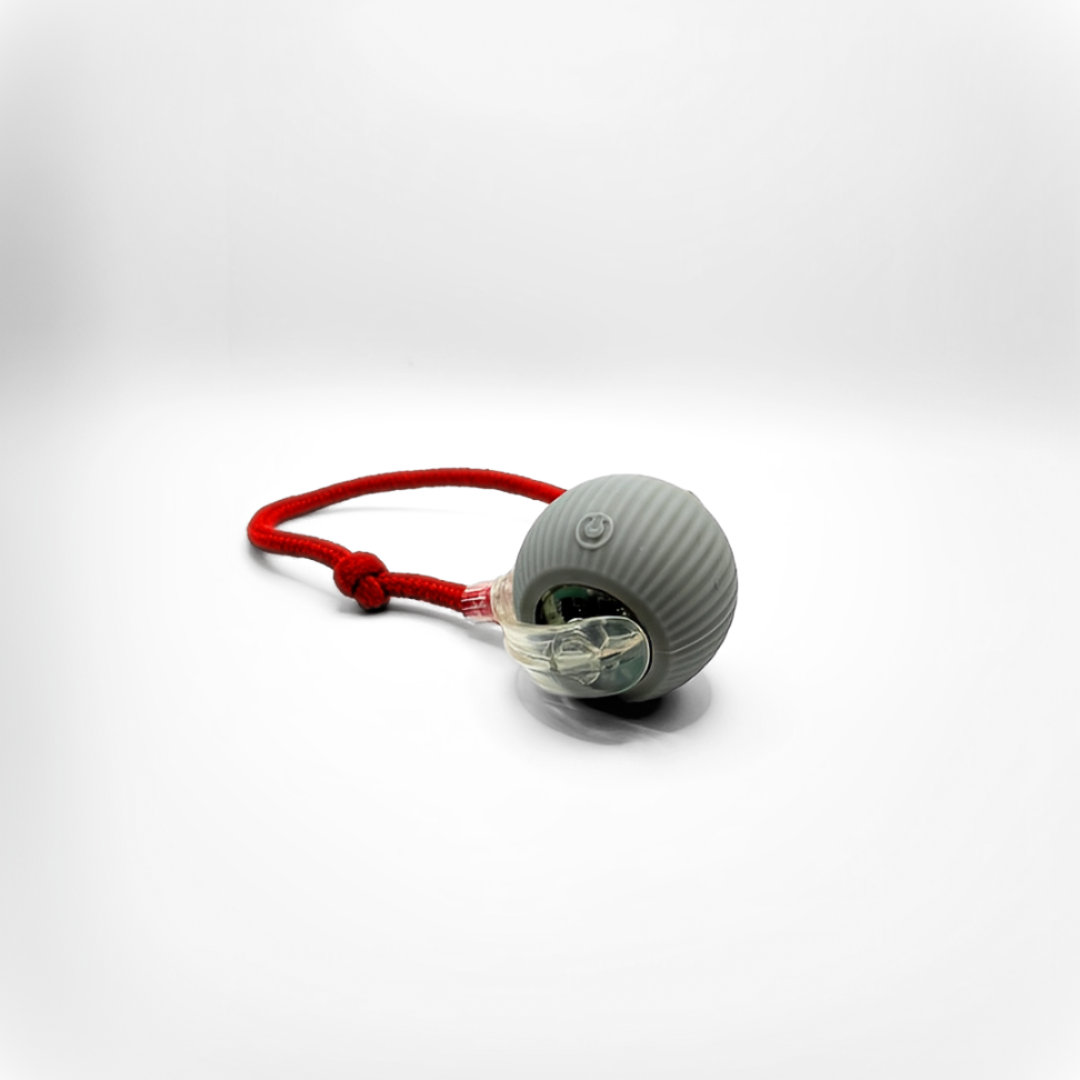 SmartHunt™ – Interactief Speelgoed