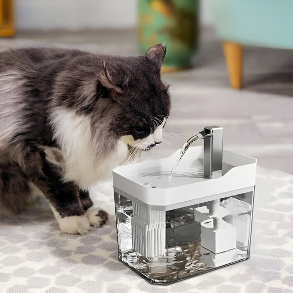 HydraPaw™ - Drinkfontein die hydratatie bevordert
