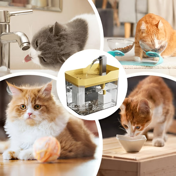 HydraPaw™ - Drinkfontein die hydratatie bevordert