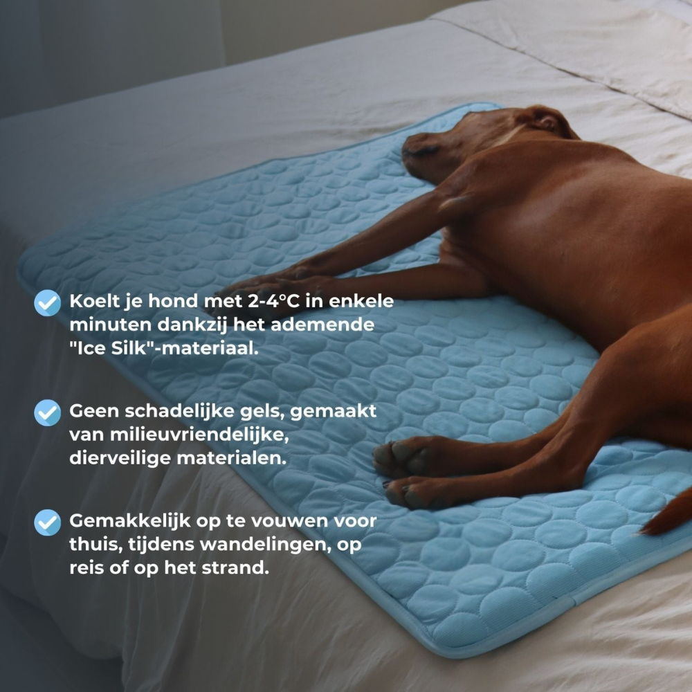 PawChill™ verkoelende hondenmat | 1+1 GRATIS