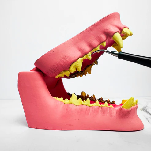FreshFang™ - Verbeter de gebitsgezondheid van je harige vriend