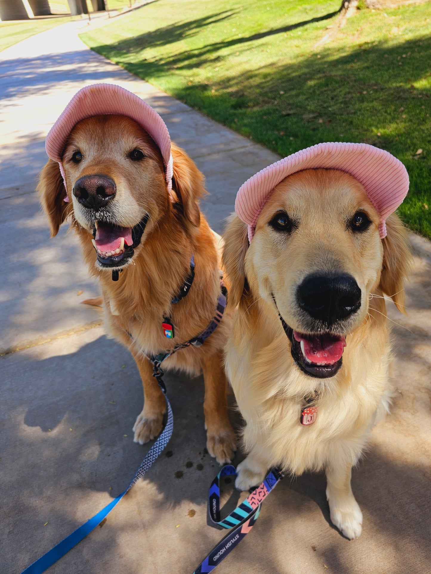 PawCap™ - Ultra Schattig Honden Petje
