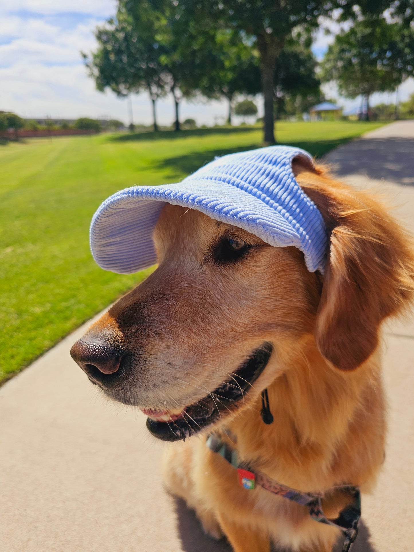 PawCap™ - Ultra Schattig Honden Petje