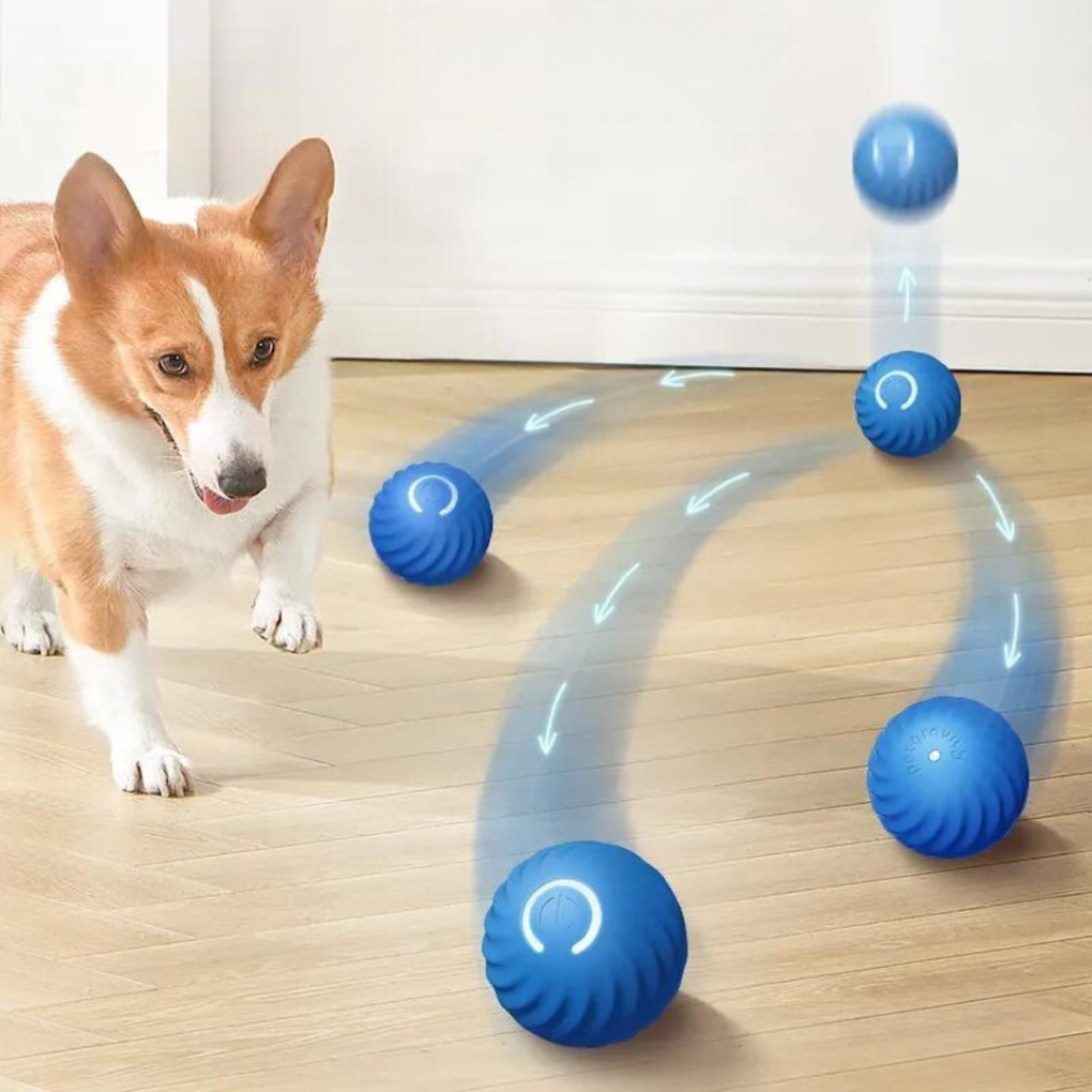 ReboundBall - Interactieve Speelbal