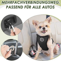 AutoVeilig Hondenharnas