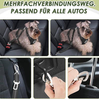 AutoVeilig Hondenharnas