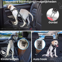 Hondenauto Gordel - Schokabsorberend & Verstelbaar