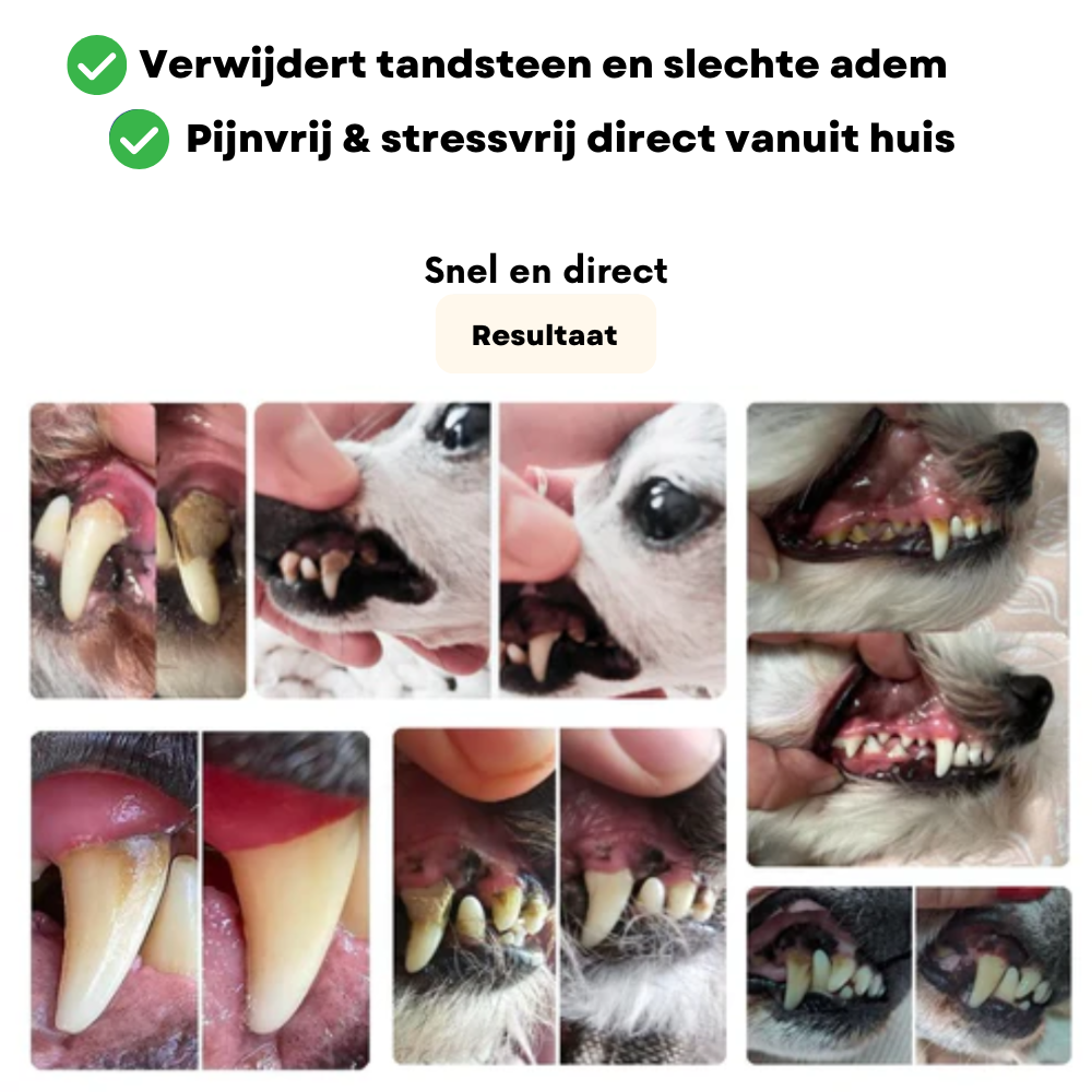 FreshFang™ - Verbeter de gebitsgezondheid van je harige vriend