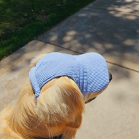 PawCap™ - Ultra Schattig Honden Petje
