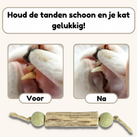 HappyTeeth - Tandenpoets speeltje met kattenkruid (4-pack)