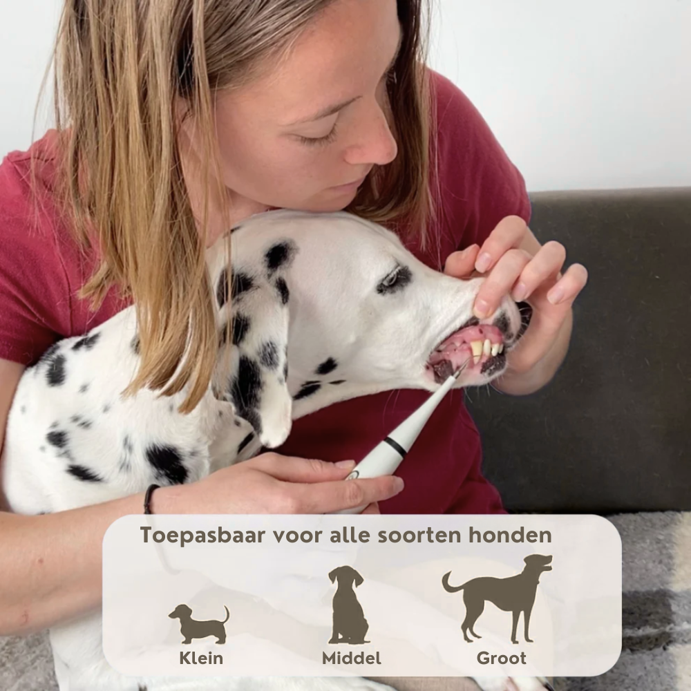 FreshFang™ - Verbeter de gebitsgezondheid van je harige vriend