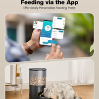 Feedify - Slimme Automatische Kattenvoeder