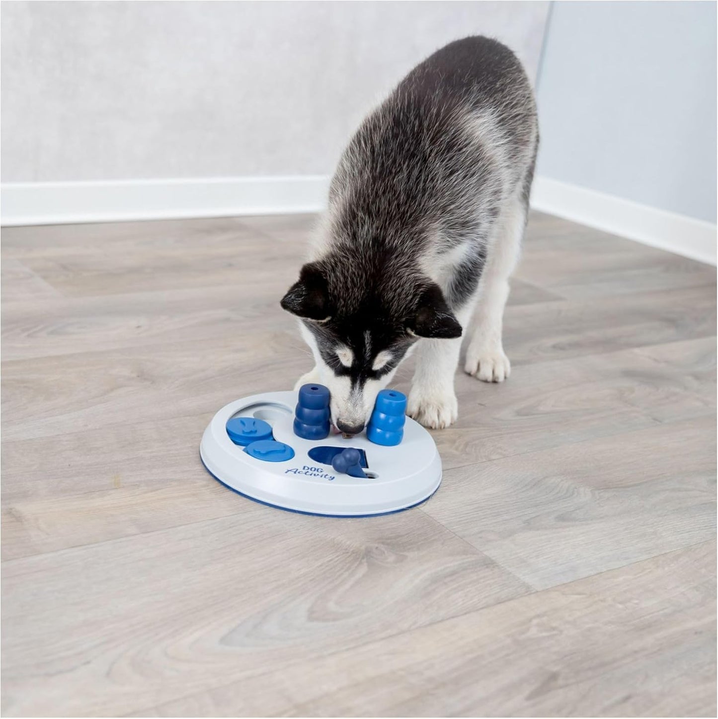 TreatQuest - Interactief Speelplezier voor Honden
