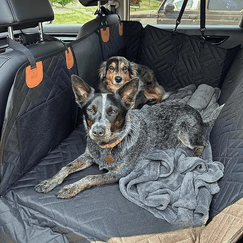 PawProtect - Stevige honden autostoelhoes 2.0