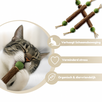 HappyTeeth™ - Tandenpoets speeltje met kattenkruid (4-stuks)