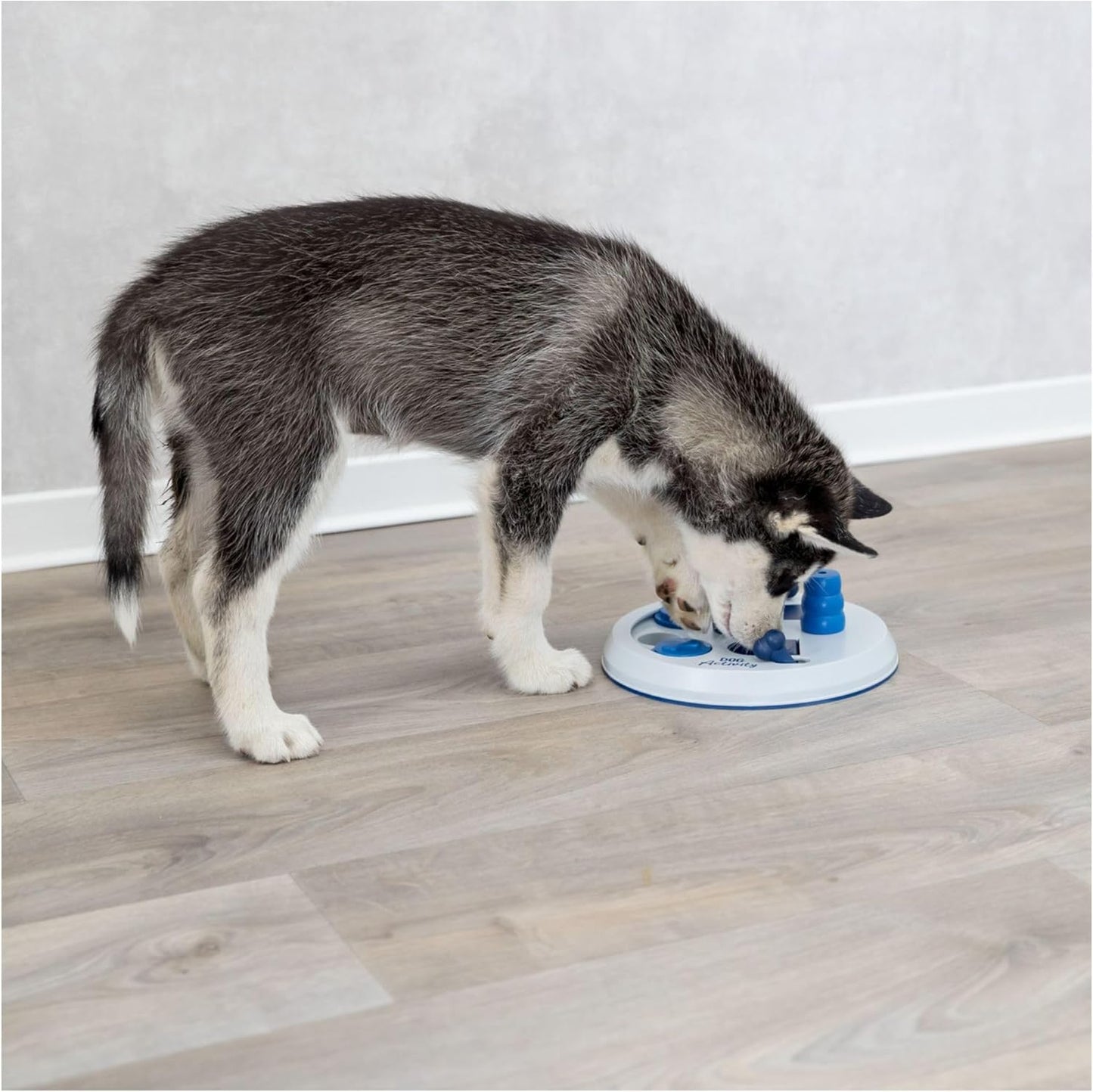 TreatQuest - Interactief Speelplezier voor Honden